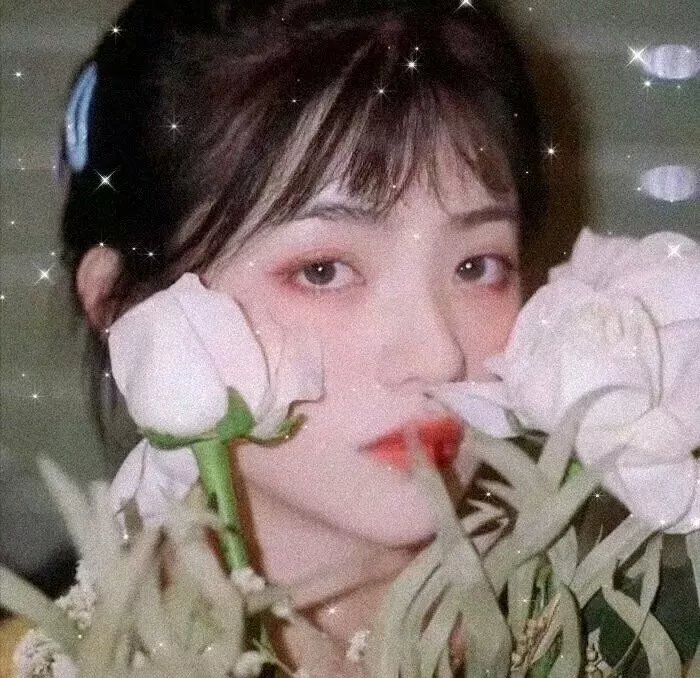精灵守护者第二部